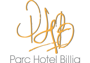 hotel 4 stelle con spa a Saint-Vincent